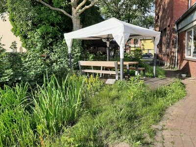 Foto des Albums: Unser Schulgarten