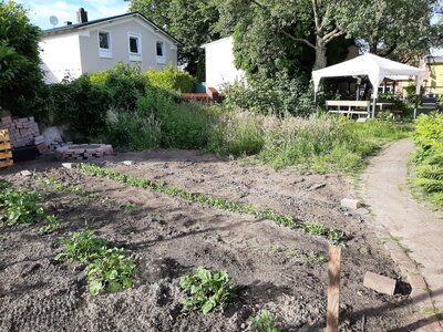 Foto des Albums: Unser Schulgarten