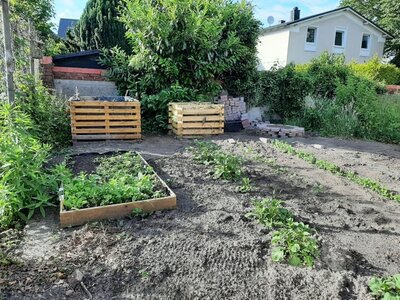 Foto des Albums: Unser Schulgarten