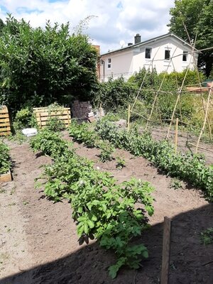 Foto des Albums: Unser Schulgarten