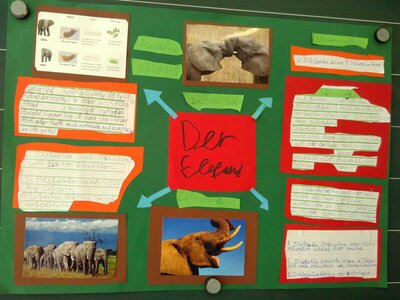 Foto des Albums: Lernplakate zum Thema Tiere
