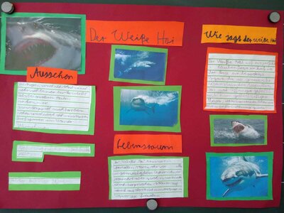 Foto des Albums: Lernplakate zum Thema Tiere