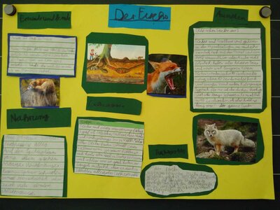 Foto des Albums: Lernplakate zum Thema Tiere