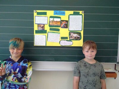 Foto des Albums: Lernplakate zum Thema Tiere
