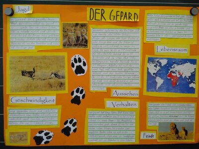 Foto des Albums: Lernplakate zum Thema Tiere