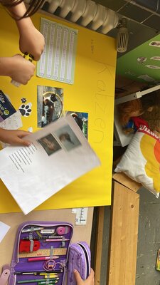 Foto des Albums: Referate Klasse 1