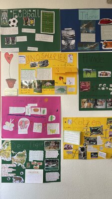 Foto des Albums: Referate Klasse 1