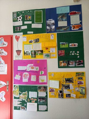 Foto des Albums: Referate Klasse 1