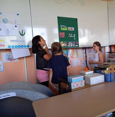 Foto des Albums: Referate Klasse 1