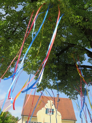 Foto des Albums: Friedensfest 