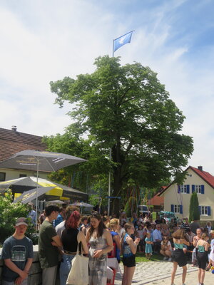 Foto des Albums: Friedensfest 
