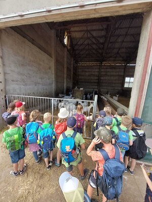 Foto des Albums: Wandertag Klasse 1 in den Ziegenstall