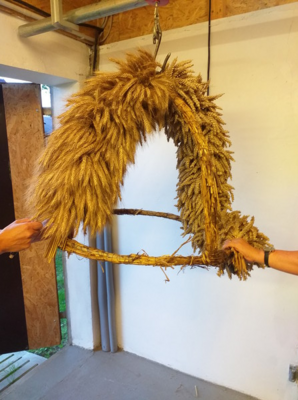 Foto des Albums: Erntekrone an Landkreis übergeben