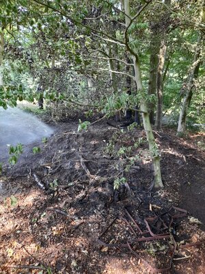 Foto des Albums: Flächenbrand Hofdienerweg