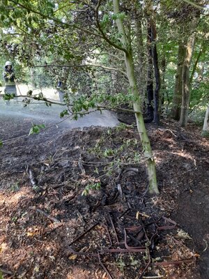 Foto des Albums: Flächenbrand Hofdienerweg