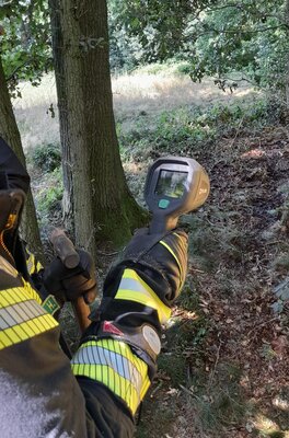 Foto des Albums: Flächenbrand Hofdienerweg