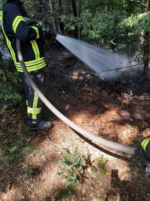 Foto des Albums: Flächenbrand Hofdienerweg