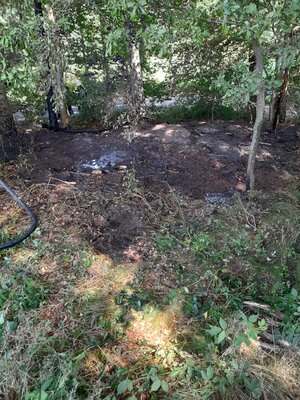 Foto des Albums: Flächenbrand Hofdienerweg