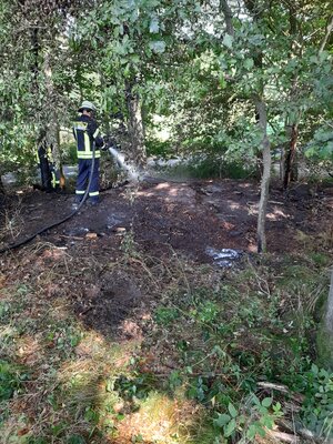 Foto des Albums: Flächenbrand Hofdienerweg