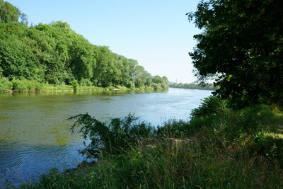 Weser nahe Schepperort  (Bild vergr&ouml;&szlig;ern)
