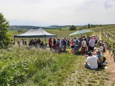 Foto des Albums: Schlendern und Schlürfen