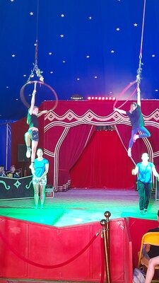 Foto des Albums: Mitmach- Zirkus Blubber 2022