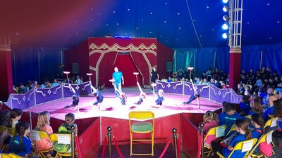 Foto des Albums: Mitmach- Zirkus Blubber 2022