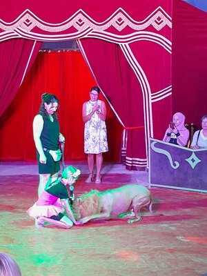 Foto des Albums: Mitmach- Zirkus Blubber 2022