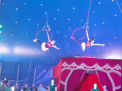 Foto des Albums: Mitmach- Zirkus Blubber 2022