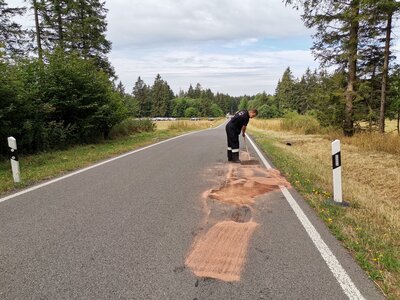 Foto des Albums: Hauenstein Bergrennen