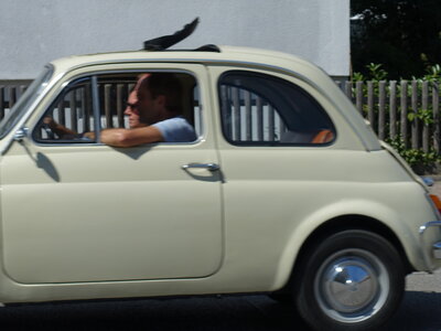 Foto des Albums: Oldtimertreffen Ernsgaden 2022  (Fotoalbum 1)