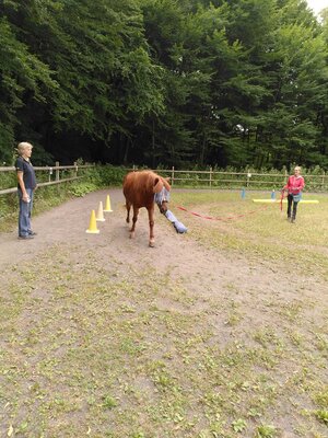 Foto des Albums: Kurs Equikinetic