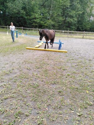 Foto des Albums: Kurs Equikinetic