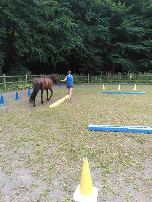 Foto des Albums: Kurs Equikinetic