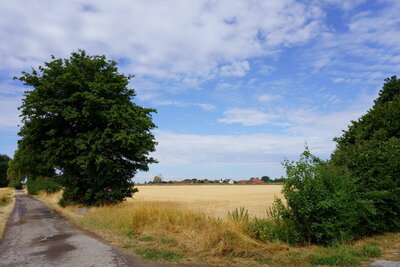 Bei Arnum  (Bild vergr&ouml;&szlig;ern)