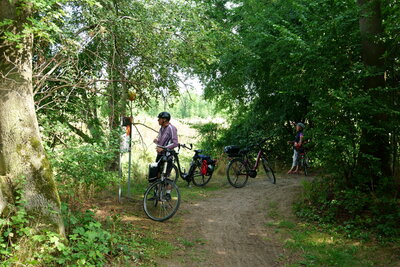 M&uuml;ndung der Innerste -2  (Bild vergr&ouml;&szlig;ern)