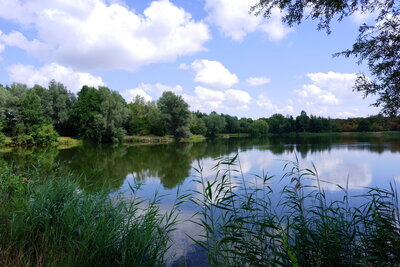 Teiche bei Giften  (Bild vergr&ouml;&szlig;ern)