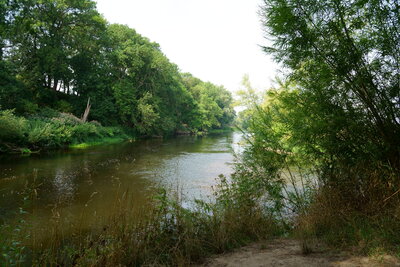 Zufluss Innerste in die Leine  (Bild vergr&ouml;&szlig;ern)