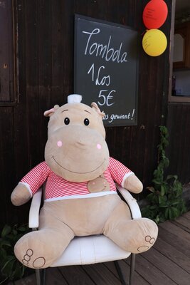 Foto des Albums: 15. Sommer- und Familienfest 2022