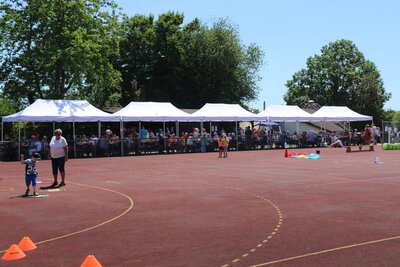 Foto des Albums: TSG Sommerfest 2022 (17.07.2022)