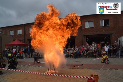 Foto des Albums: Tag der offenen Tore bei der Freiwilligen Feuerwehr Stadt Perleberg