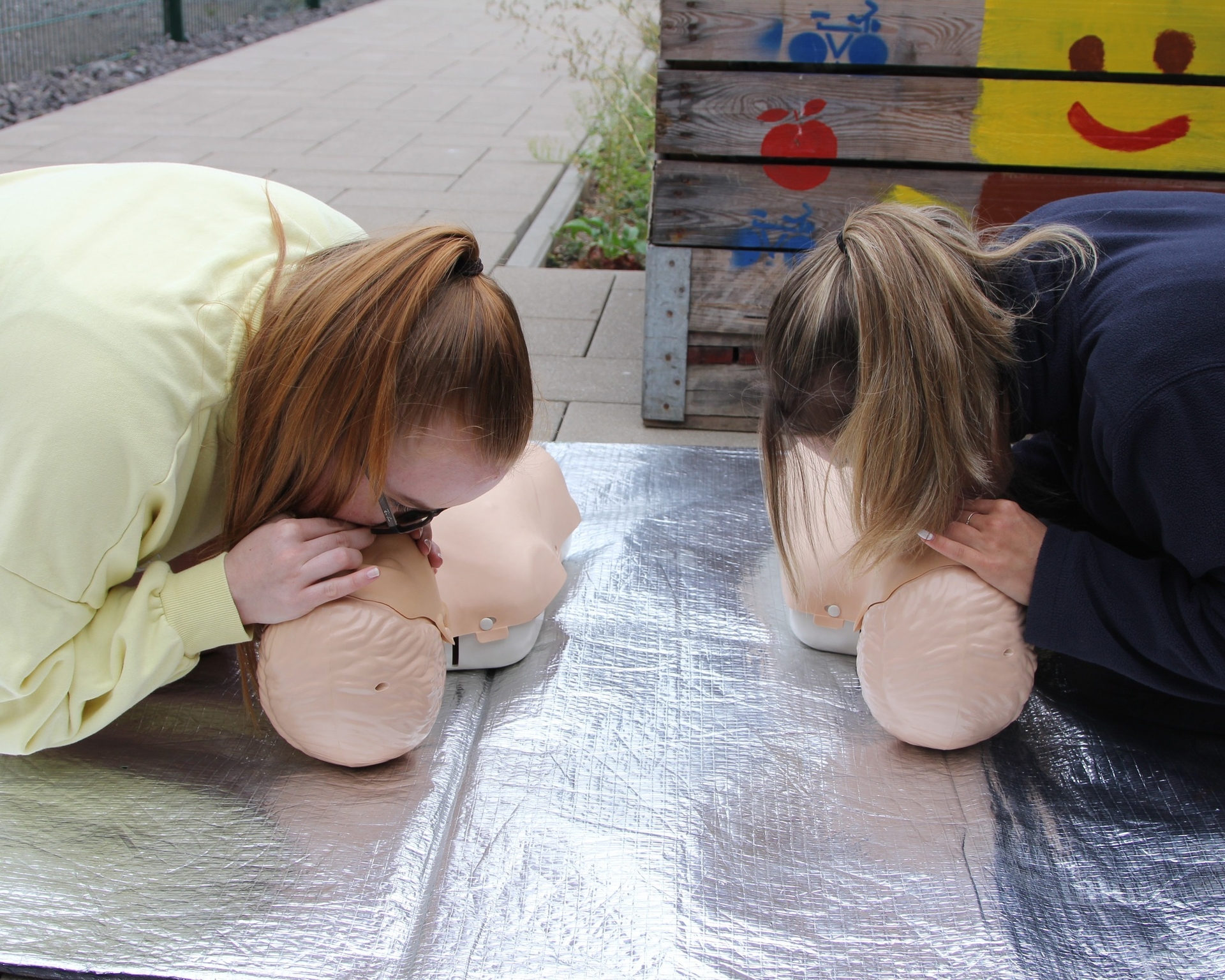 Bild der Galerie