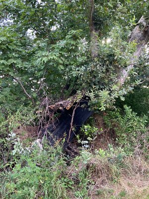 Foto des Albums: Einsatz 36/2022