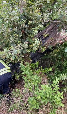 Foto des Albums: Einsatz 36/2022