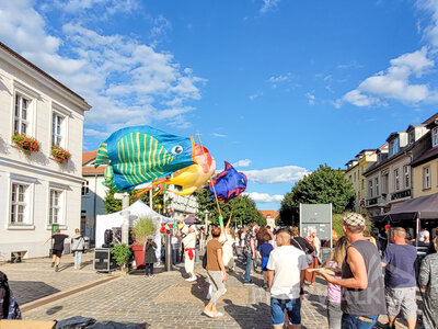 Foto des Albums: Pritzwalker Herbstleuchten 2022 begeisterte