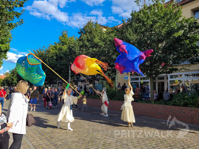 Foto des Albums: Pritzwalker Herbstleuchten 2022 begeisterte