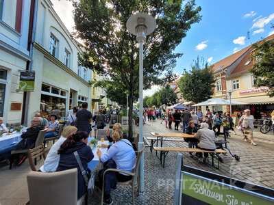 Foto des Albums: Pritzwalker Herbstleuchten 2022 begeisterte
