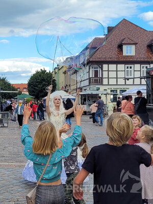 Foto des Albums: Pritzwalker Herbstleuchten 2022 begeisterte