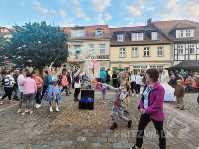 Foto des Albums: Pritzwalker Herbstleuchten 2022 begeisterte