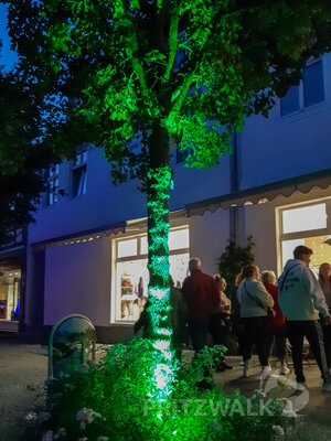 Foto des Albums: Pritzwalker Herbstleuchten 2022 begeisterte